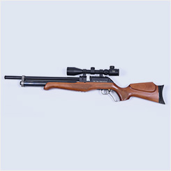 Air rifle